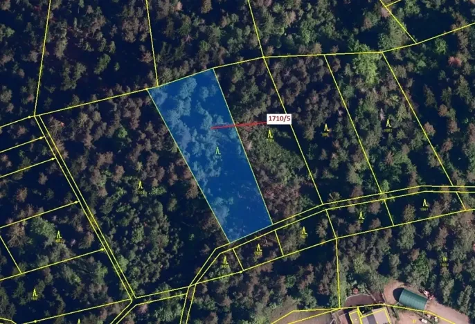 Dražba lesa, Návsí, 3528 m2