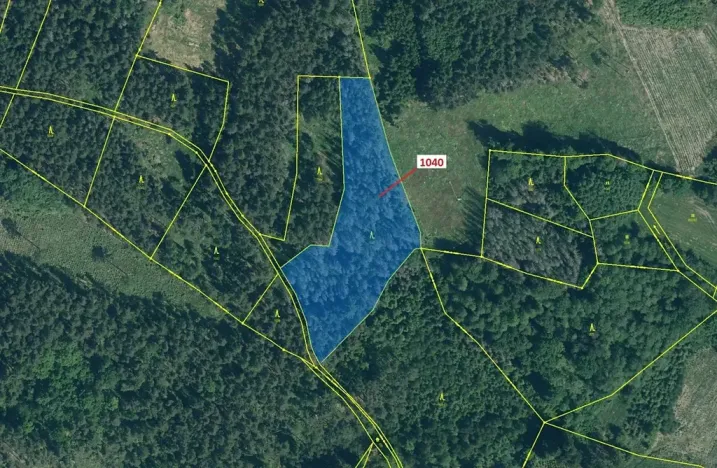 Dražba lesa, Hradiště, 6519 m2