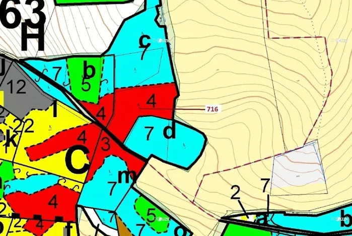 Dražba lesa, Kuřimany, 4499 m2