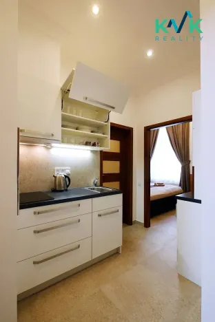 Prodej apartmánu, Karlovy Vary, K. Čapka, 593 m2