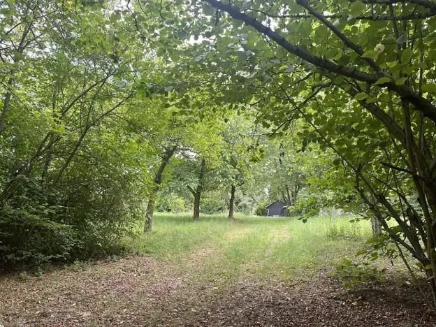 Pronájem sadu/vinice, Praha - Točná, Ke starému hřišti, 3842 m2