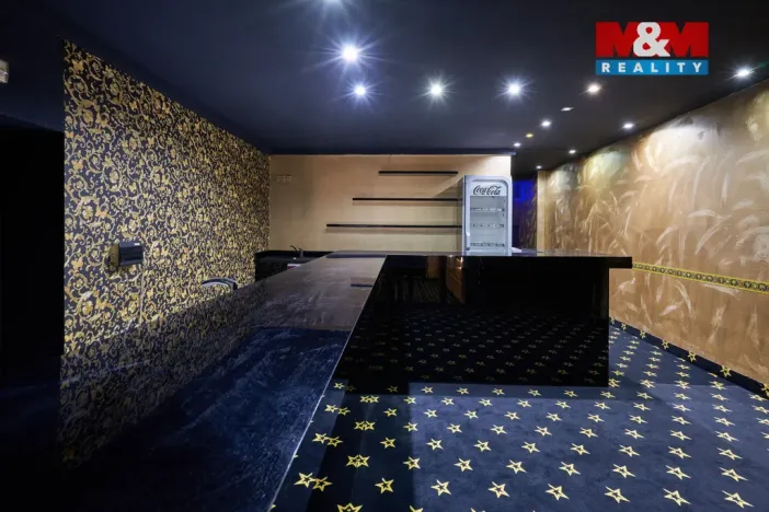 Pronájem obchodního prostoru, Uherský Brod, Moravská, 205 m2