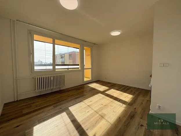 Pronájem bytu 1+kk, Plzeň, alej Svobody, 34 m2