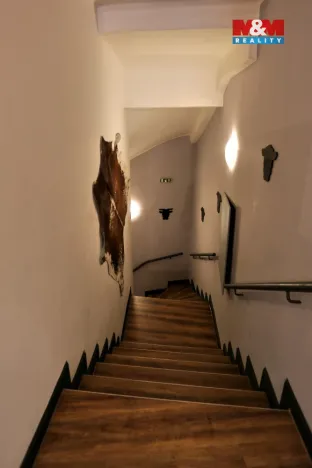 Pronájem restaurace, Olomouc, Riegrova, 500 m2