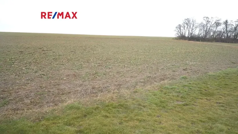 Prodej pozemku pro bydlení, Pavlíkov, 1187 m2