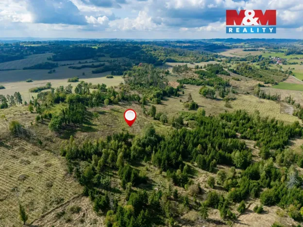 Prodej lesa, Horní Heřmanice, 31116 m2