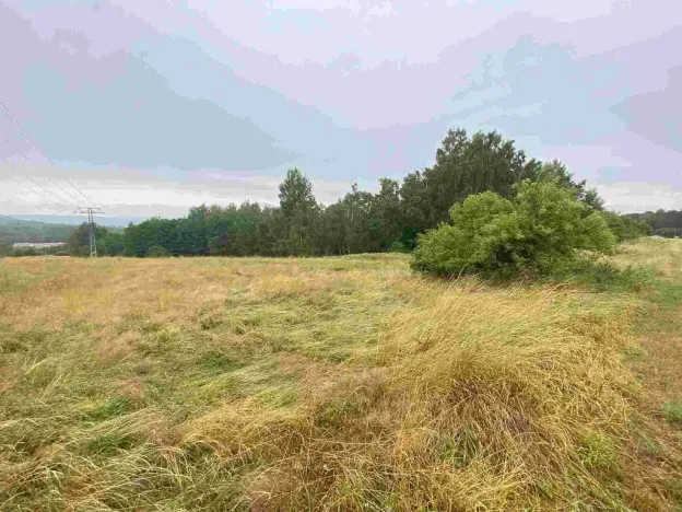 Prodej pole, Nové Sedlo - Loučky, 49321 m2