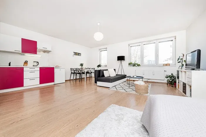 Prodej bytu 1+kk, Praha - Libeň, Březenská, 49 m2