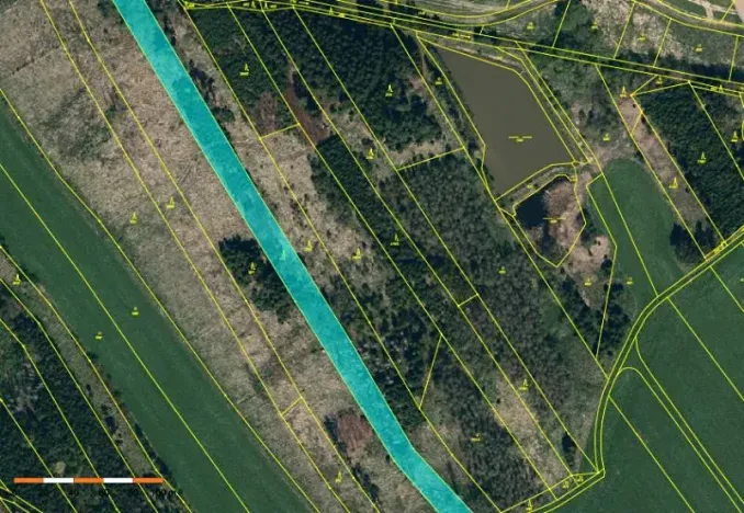 Prodej lesa, Dolní Cerekev, 11509 m2