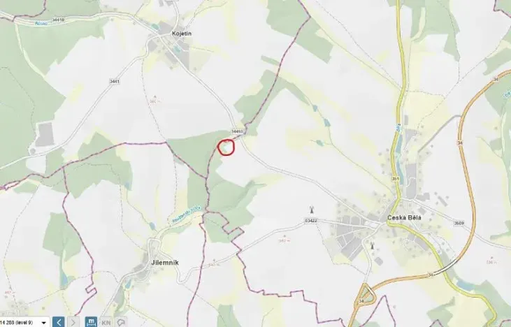 Prodej lesa, Česká Bělá, 8665 m2