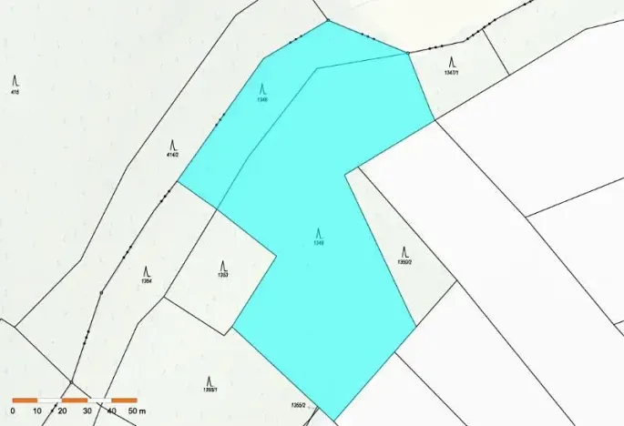 Prodej lesa, Česká Bělá, 8665 m2