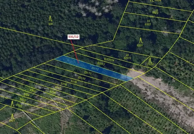 Dražba lesa, Havlíčkův Brod, 281 m2