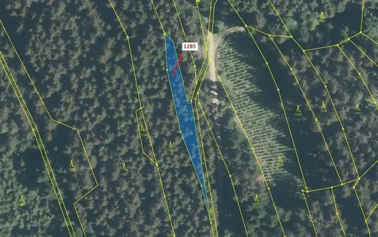 Dražba lesa, Lačnov, 849 m2