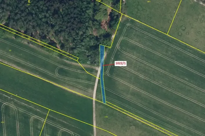 Dražba pole, Olešnice, 318 m2