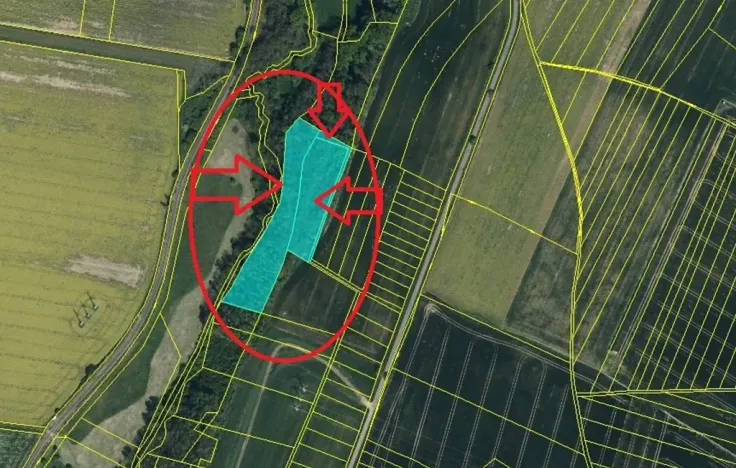 Prodej lesa, Jeníkovice, 12606 m2