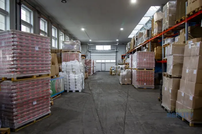 Pronájem výrobních prostor, Brandýs nad Labem-Stará Boleslav, 483 m2