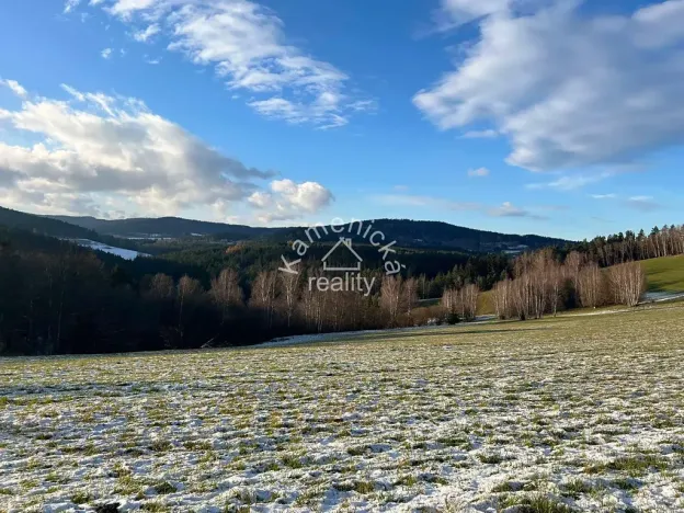 Prodej pozemku pro bydlení, Malšín, 113244 m2