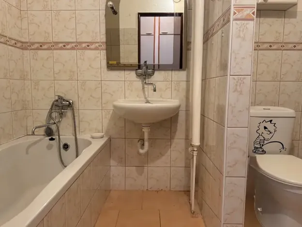 Prodej bytu 1+kk, Ostrava, Heleny Salichové, 27 m2