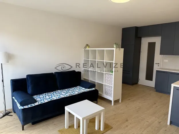 Pronájem bytu 1+kk, České Budějovice, Chelčického, 38 m2