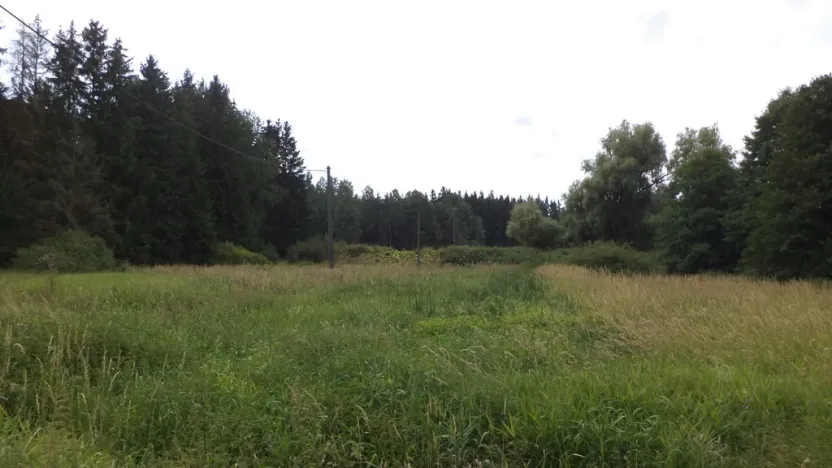 Prodej pozemku, Chodský Újezd - Nahý Újezdec, 13137 m2