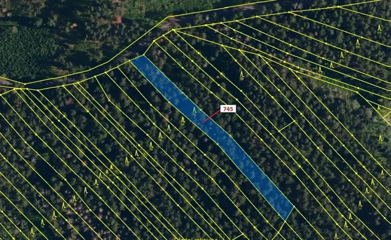 Dražba lesa, Dolní Vilémovice, 1957 m2