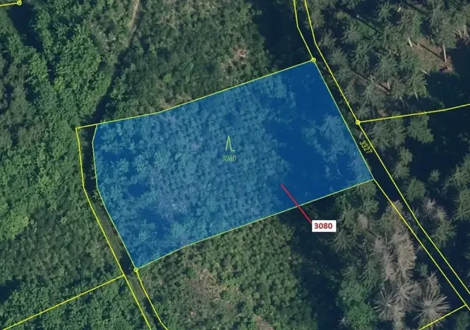 Dražba lesa, Benešov u Semil, 2540 m2