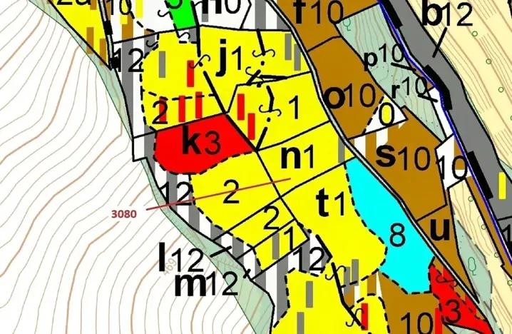 Dražba lesa, Benešov u Semil, 2540 m2