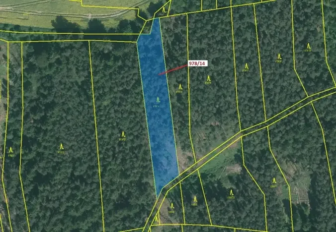 Dražba lesa, Milavče, 2762 m2