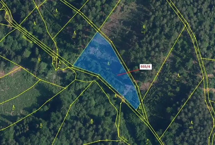 Dražba lesa, Jílové u Držkova, 3532 m2