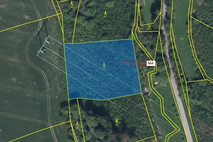 Dražba lesa, Vysoké Mýto, 4766 m2