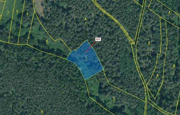 Dražba lesa, Jesenice, 1924 m2