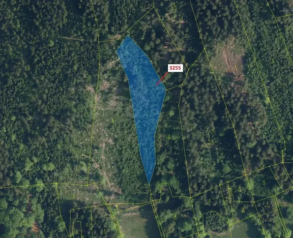 Dražba lesa, Velké Hamry, 6125 m2