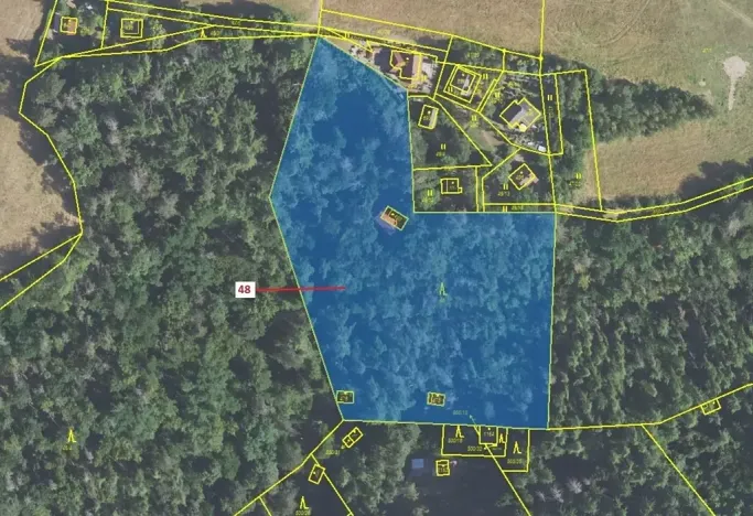 Dražba lesa, Sýkořice, 8962 m2