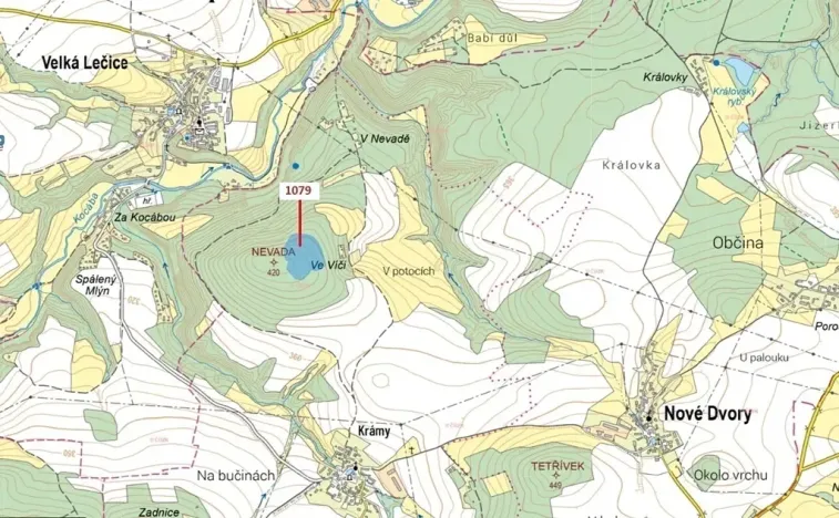 Dražba lesa, Nové Dvory, 32925 m2