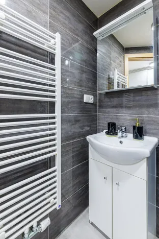 Pronájem bytu 1+kk, Zlín, Vejvanovská, 20 m2