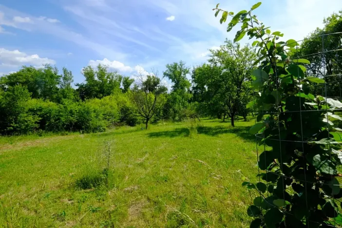 Prodej zahrady, Uherský Brod, 2032 m2