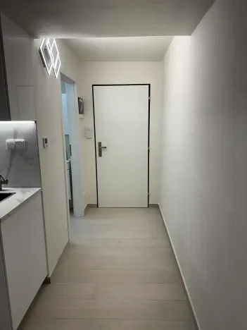 Pronájem bytu 1+kk, Praha - Vinohrady, Nad olšinami, 25 m2