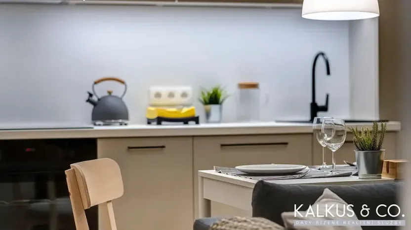 Pronájem bytu 2+kk, Hradec Králové, Eliščino nábřeží, 30 m2