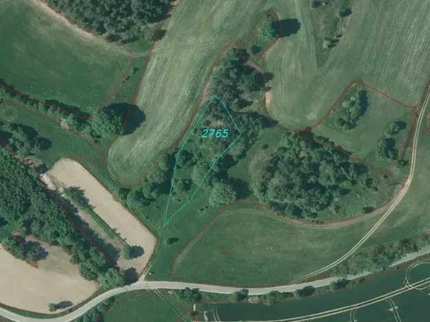 Dražba pozemku, Slavonice, 1831 m2