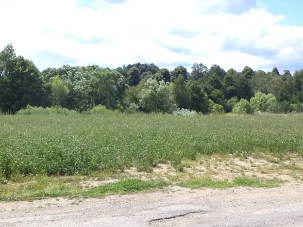 Dražba louky, Batelov, 4944 m2