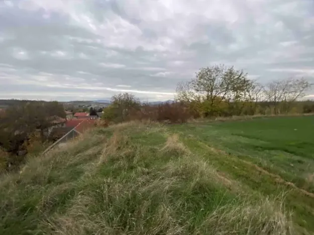 Dražba pole, Židovice, 123 m2