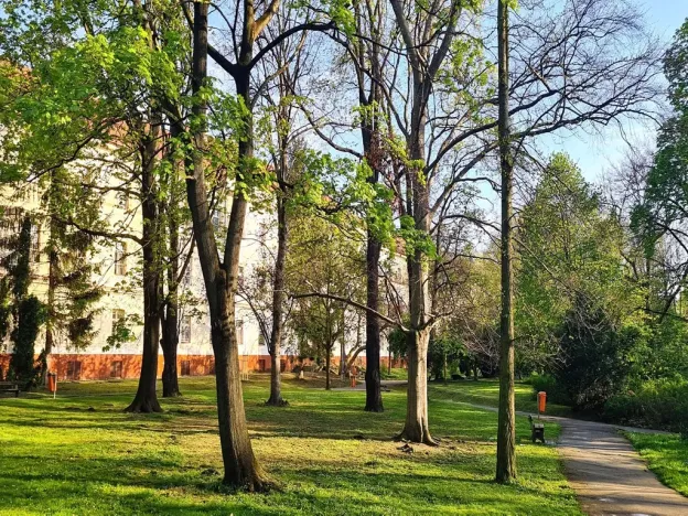 Pronájem bytu 1+kk, Praha - Nové Město, Na bojišti, 36 m2