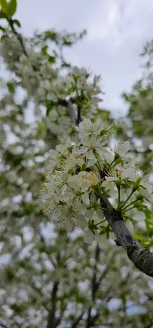 Prodej rodinného domu, Hředle, 398 m2