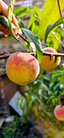 Prodej rodinného domu, Hředle, 398 m2