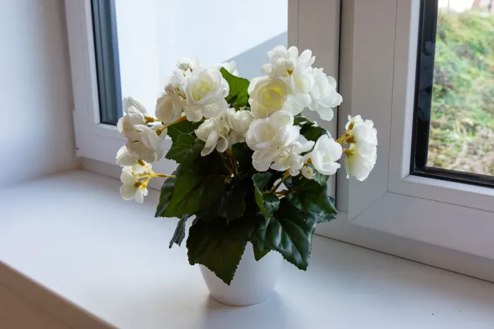 Prodej rodinného domu, Těrlicko - Horní Těrlicko, Farní, 100 m2