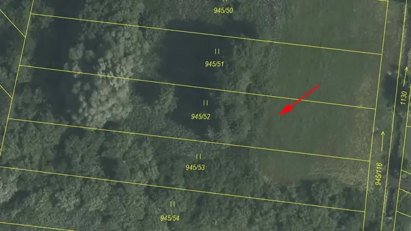 Prodej louky, Cerekvice nad Loučnou, 1828 m2