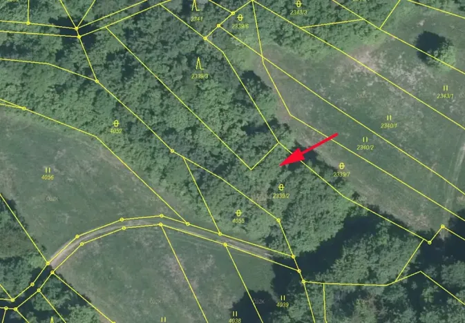 Prodej podílu lesa, Nedašov, 632 m2