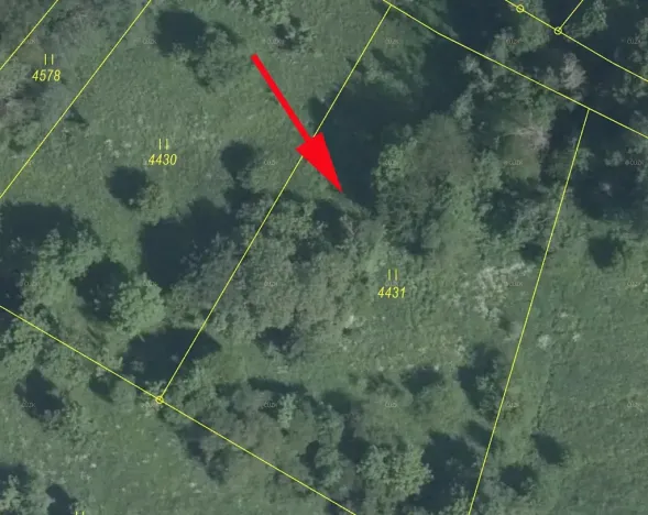 Prodej louky, Železný Brod, 2848 m2