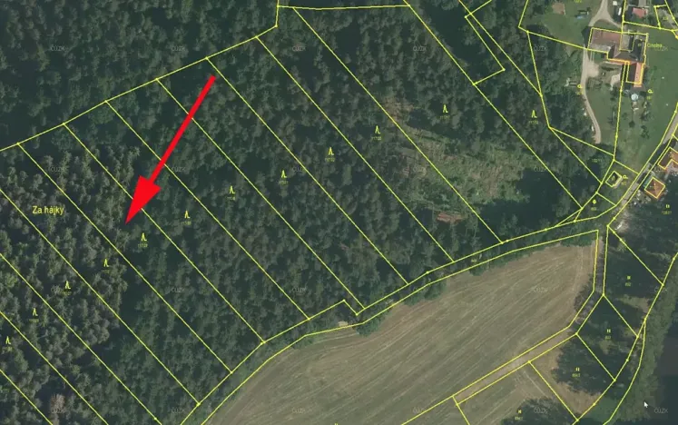 Prodej lesa, Zlatá Koruna, 4921 m2