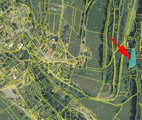 Prodej lesa, Roztoky u Semil, 1169 m2